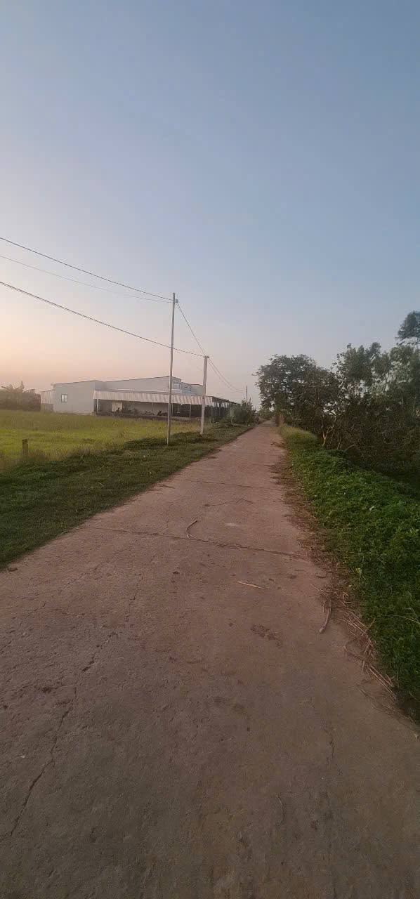 Đất nền Phường 8 Sóc Trăng 230m² 600 triệu - Sổ đỏ chính chủ