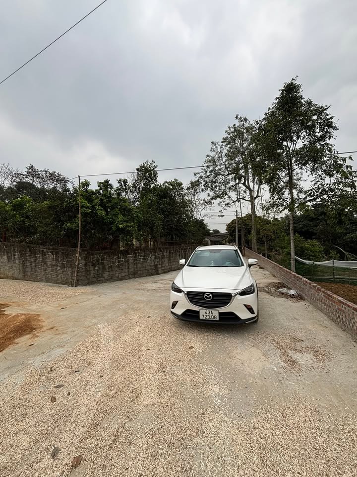 Đất nền Phường Phong Châu Thị xã Phú Thọ 100m² giá F0 - Khoản đầu tư sẵn sàng sinh lời