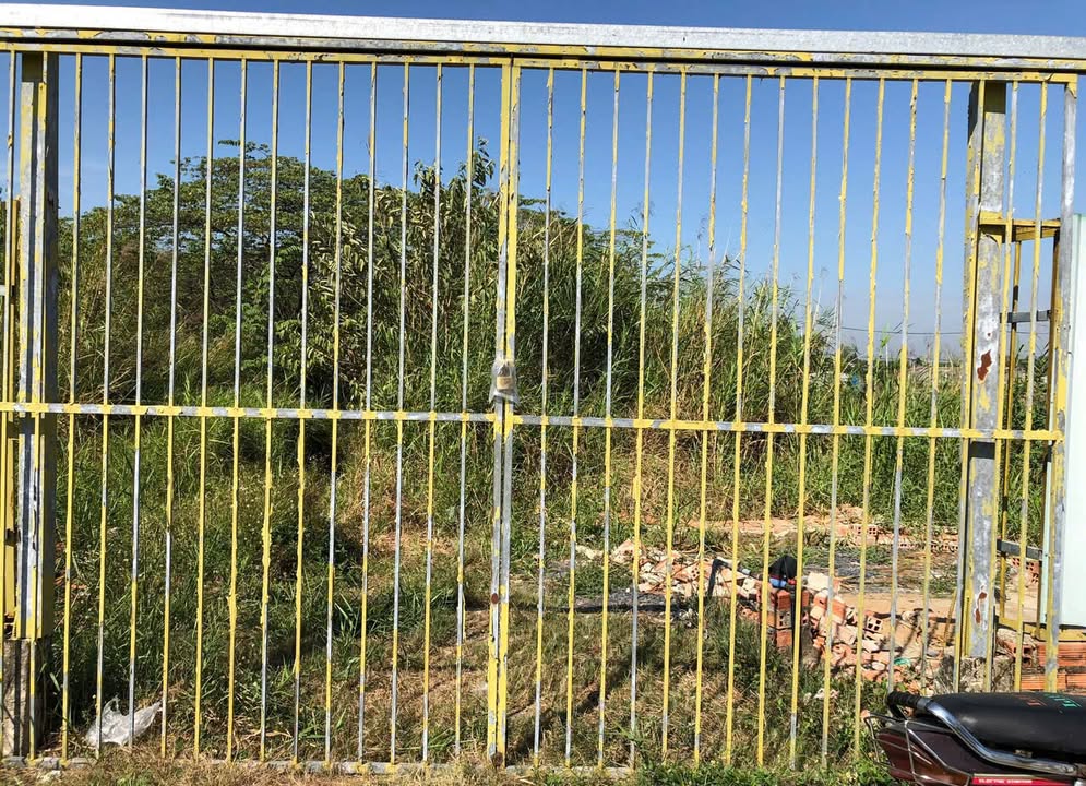 Đất trồng cây lâu năm Hưng Long 8 tỷ - Sổ đỏ chính chủ