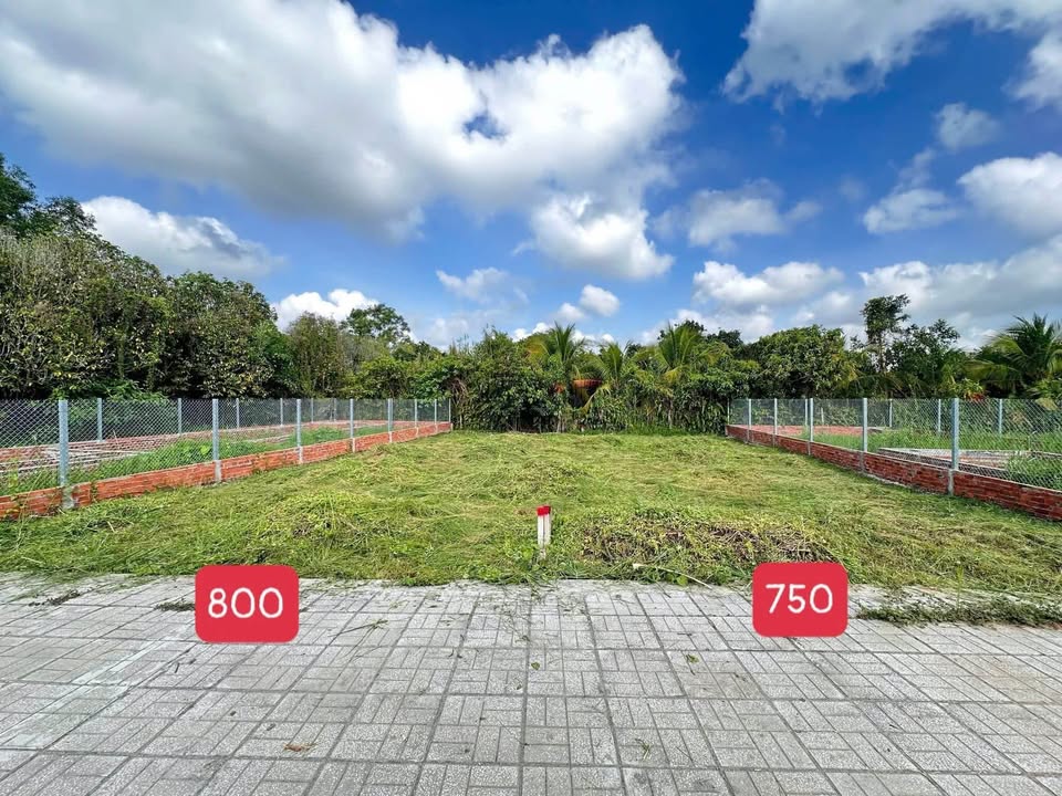 Đất vườn Bình Thủy 150m² 690 triệu - Đầu tư dài hạn