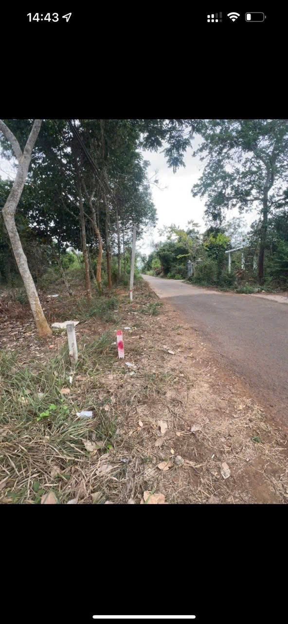 Đất nền Xuân Tây Cẩm Mỹ 149m² 490 triệu - Sổ hồng chính chủ