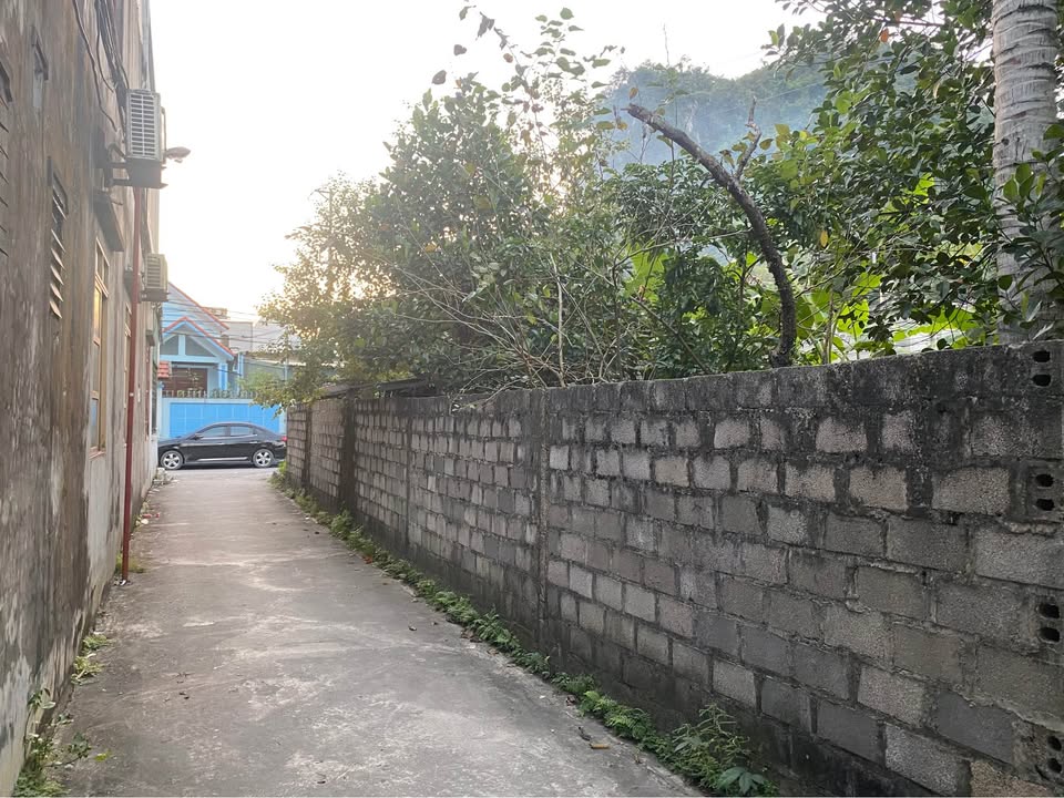 Đất nền Quang Hanh Cẩm Phả 70m² 8xx triệu - Sổ đỏ chính chủ