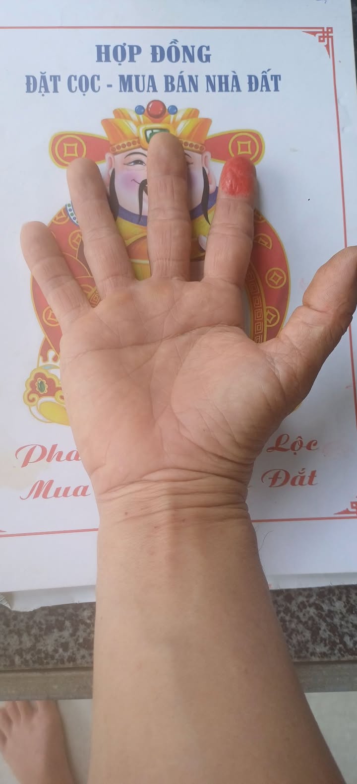 Đất nền Lộc Sơn Bảo Lộc 504m² 670 triệu - Sổ đỏ chính chủ