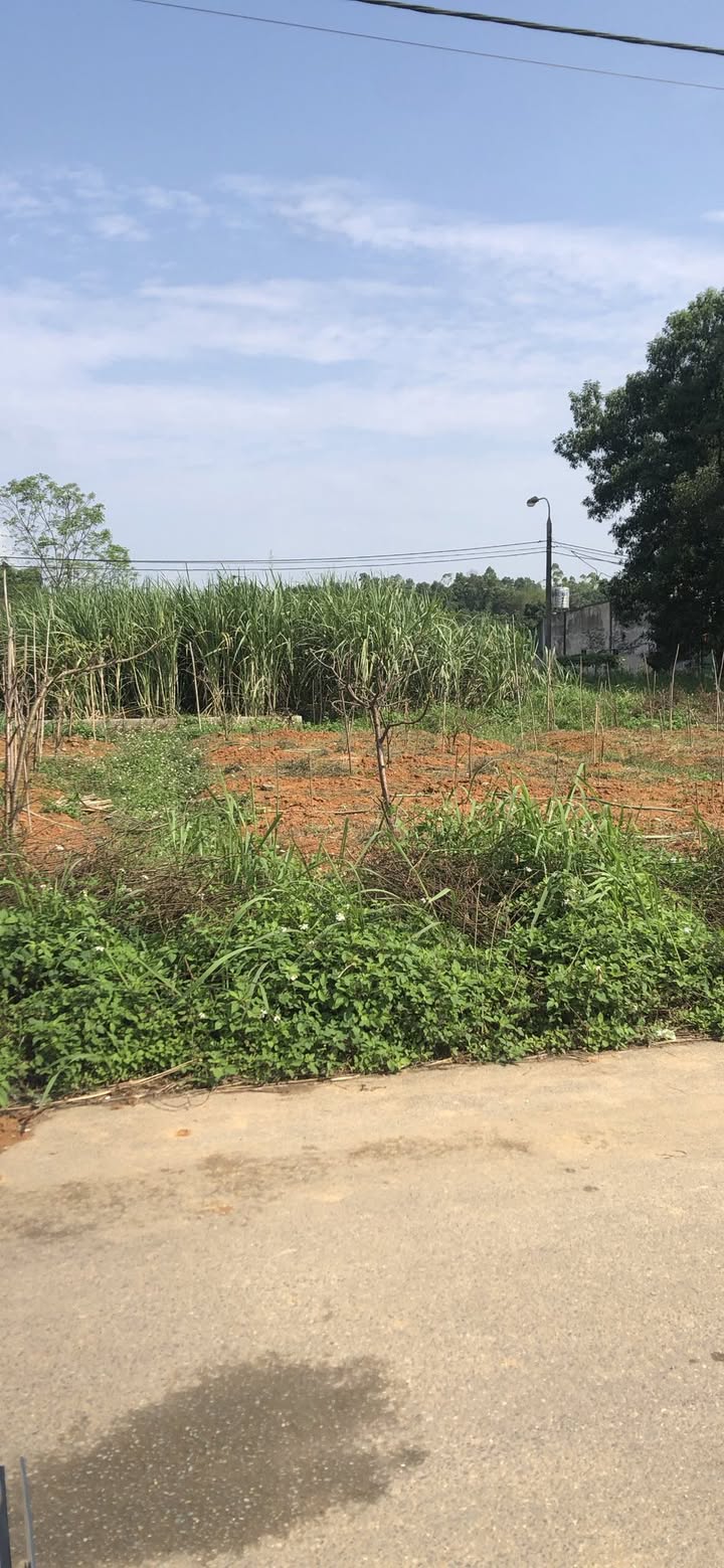 Đất nền KM5 Tân Lạc 100m² 1.2 tỷ - Sổ đỏ chính chủ