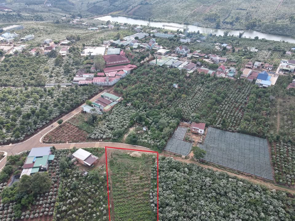 Đất nền Di Linh 1008m2 giá 2 tỷ - Pháp lý rõ ràng