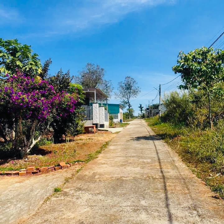 Đất nền Gia Nghĩa 320m² 990 triệu - Sổ đỏ chính chủ