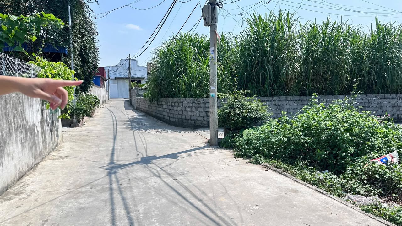 Đất nền An Thắng An Lão 68m² 12 triệu - Đường to ô tô