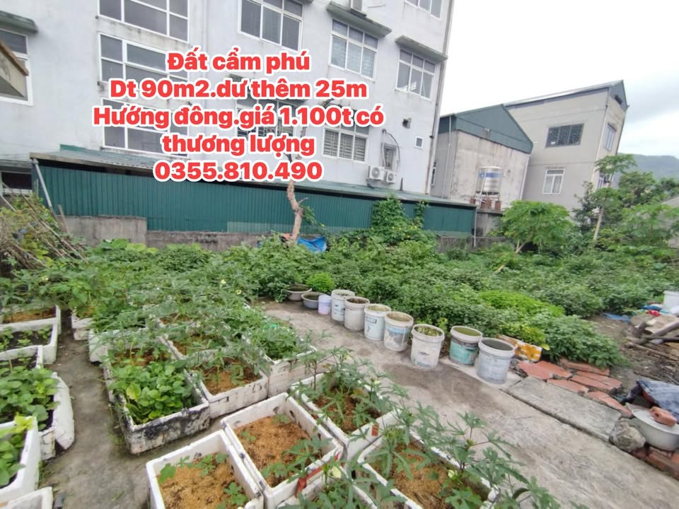 Đất Cẩm Trung Cẩm Phả 90m² 1.1 tỷ - Sổ đỏ chính chủ