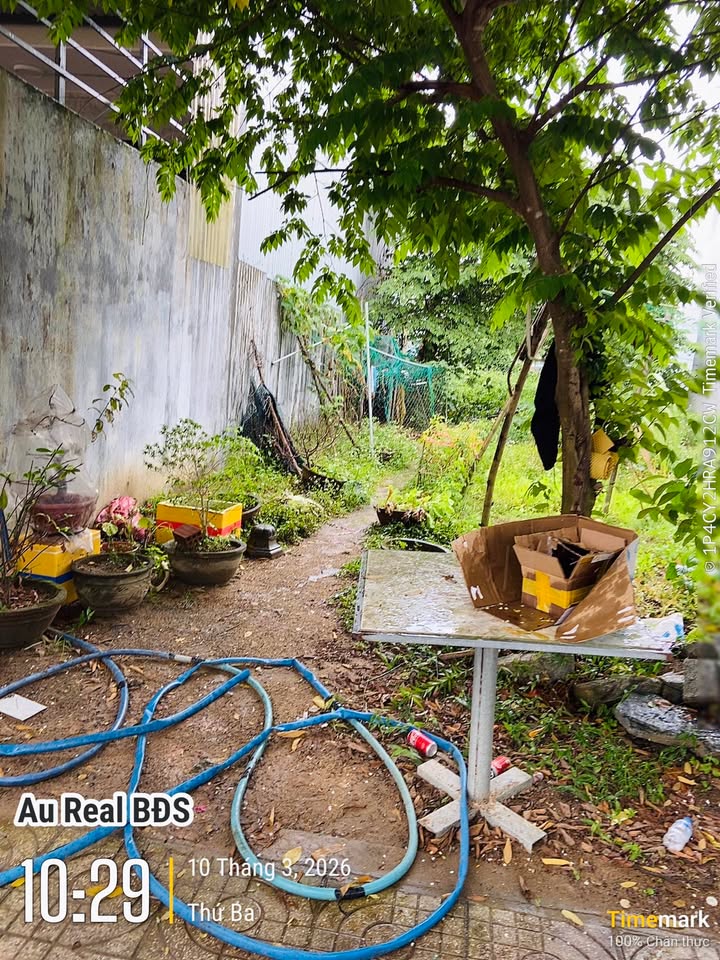 Đất nền Sơn Tịnh Quảng Ngãi 125m² 1.1 tỷ - Sổ đỏ chính chủ