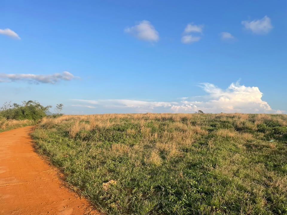 Đất vườn Đak Nhau 7ha thỏa thuận - Sổ hồng rõ ràng