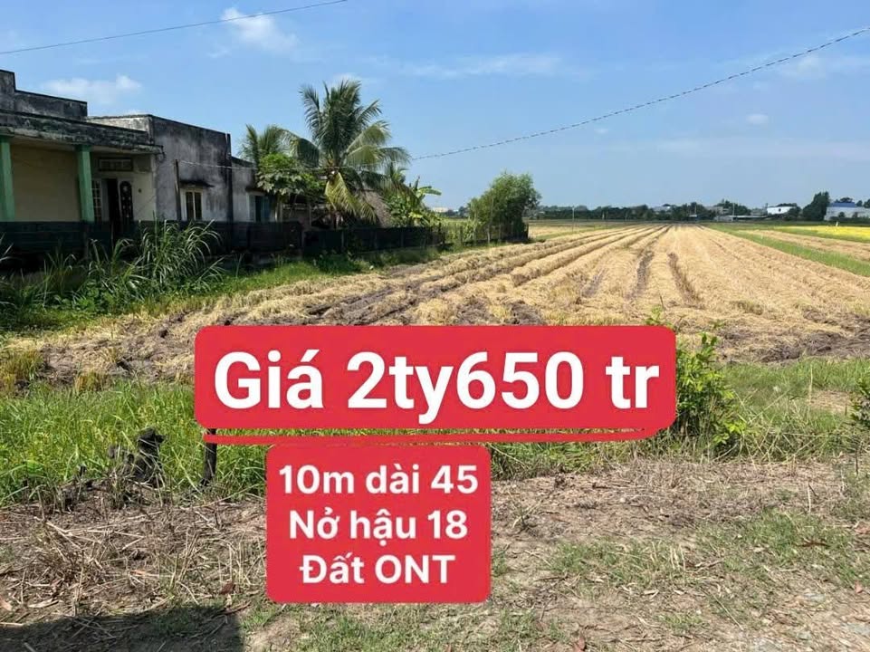 Đất nền Mỹ Hạnh Nam Long An 483m² 2.65 tỷ - Sổ đỏ chính chủ