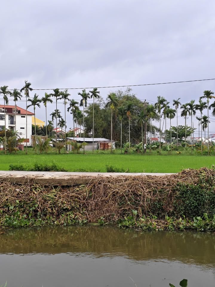 Đất nền Cẩm Châu Hội An 124m² 3 tỷ - Đường to ô tô