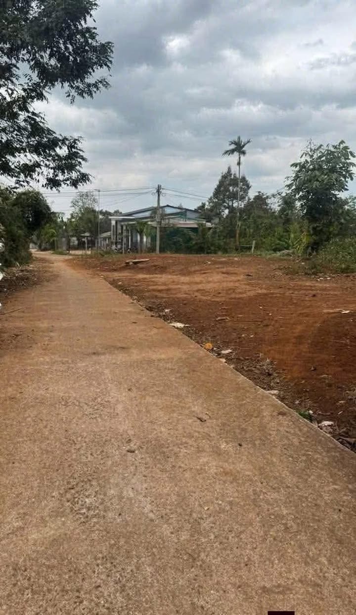 Đất nền Quảng Tiến Cư M'gar 252m² 1.4 tỷ - Sổ đỏ chính chủ