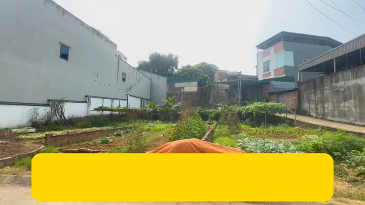 Đất nền Trằm Đá 75,1m² giá thỏa thuận - Đất thổ cư 100%