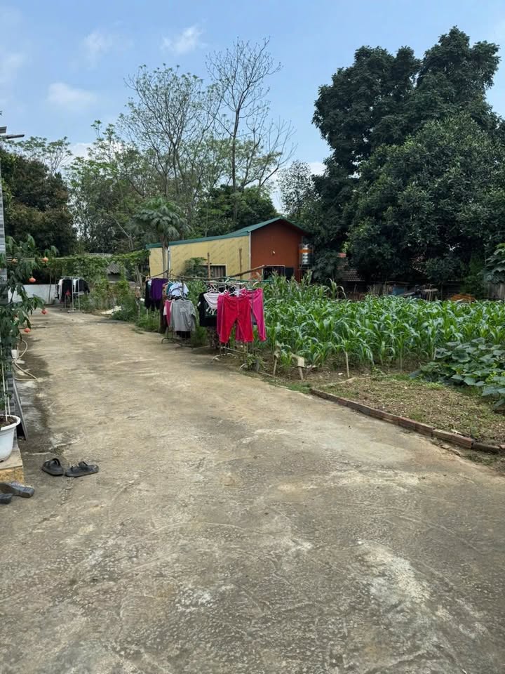 Đất nền Vân Phú Việt Trì 109m² 1 tỷ - Sổ đỏ chính chủ