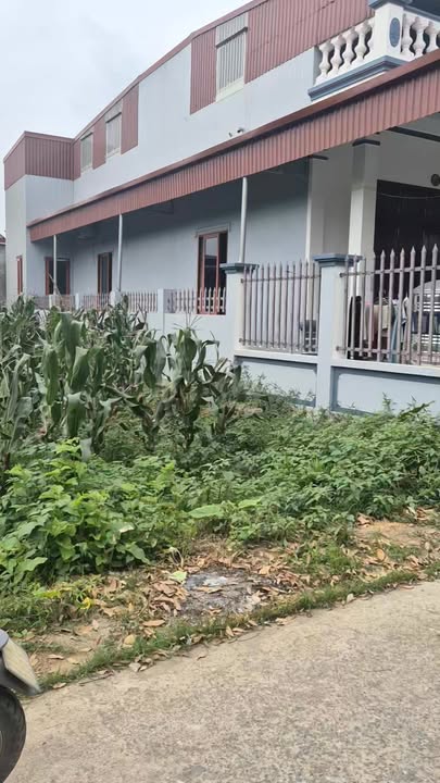 Đất nền Khánh Cư Ninh Bình 101m2/1 tỷ - Sổ đỏ chính chủ