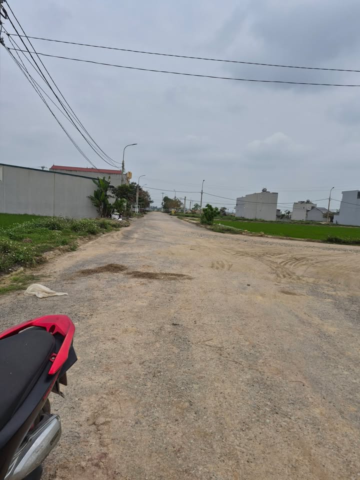 Đất nền Xã Thọ Lộc, Thanh Hóa 100m² - Đầu tư dài hạn