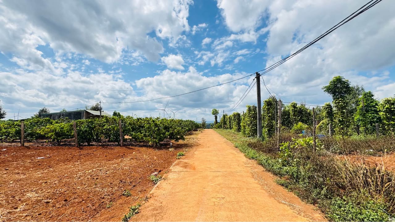 Đất Diên Hồng Pleiku 150m² 400-499 triệu - Sổ đỏ chính chủ