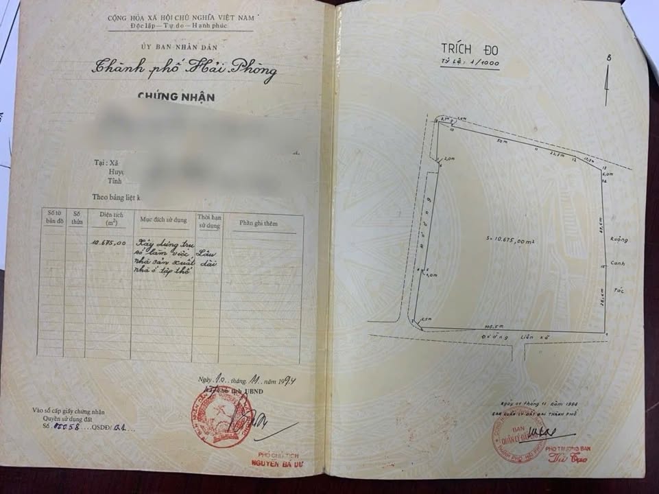 Đất công nghiệp An Thọ, An Lão 9000m² giá 225 triệu - Container thoải!