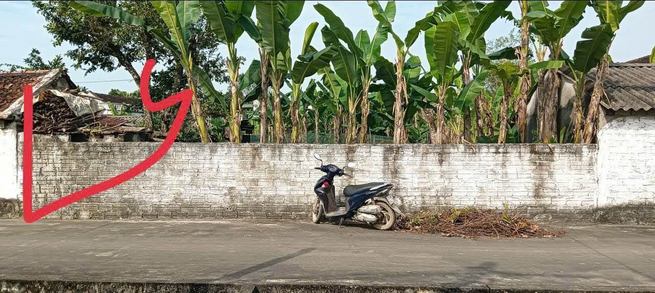 Đất thổ cư Đồng Tiến Triệu Sơn 147m² 700-799 triệu - Sổ hồng rõ ràng