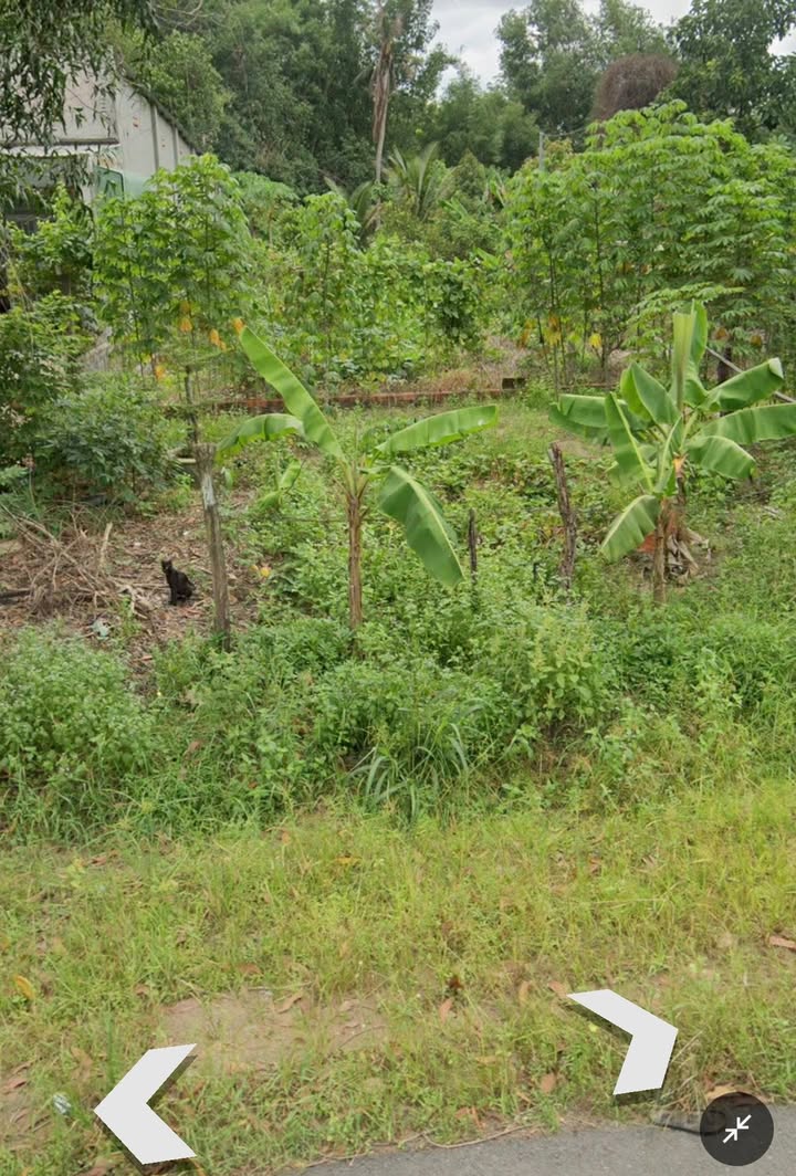 Đất nền Minh Thạnh Dầu Tiếng 600m² 140tr/m - Đất thổ cư 100%