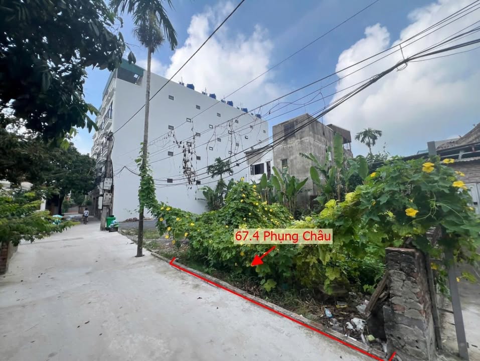Đất Phụng Châu Chương Mỹ 67m² 3-3.5 tỷ - Sổ đỏ chính chủ