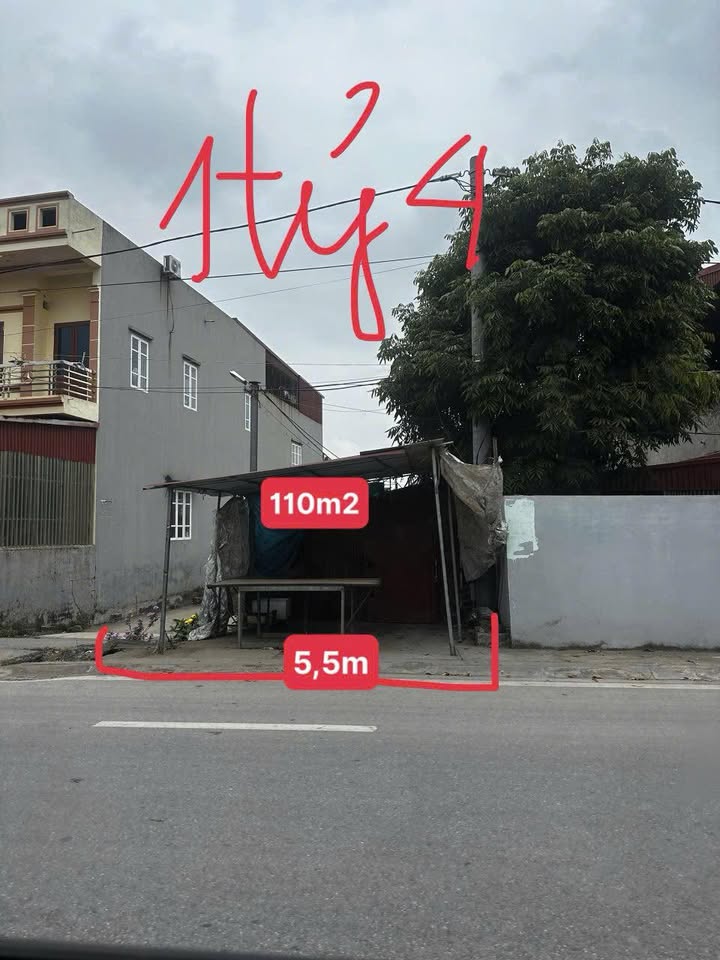 Đất nền Thái Thụy QL37 110m² 1,4 tỷ - Đường to ô tô