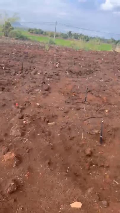 Farm Ea Na 1ha 2 tỷ - Sinh thái xanh nghỉ dưỡng