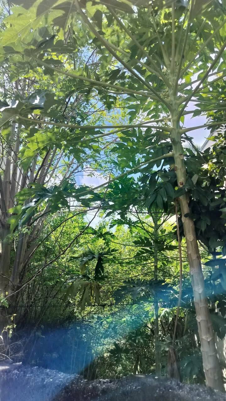 Đất nền Phước Tân Biên Hòa 100m² 750 triệu - Sổ đỏ