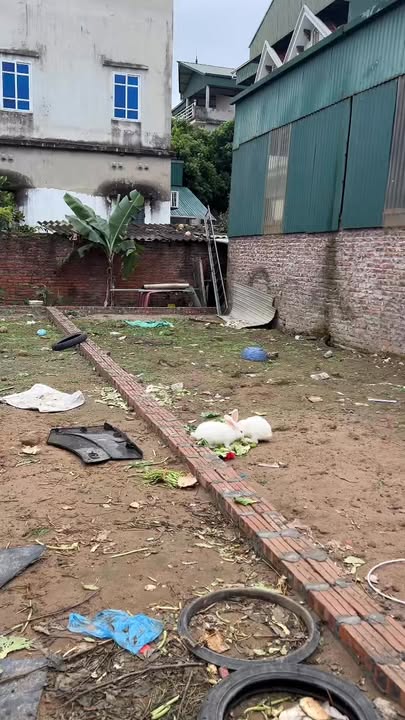 Đất nền Thuận Thành 50m² giá thỏa thuận - Sổ đỏ chính chủ