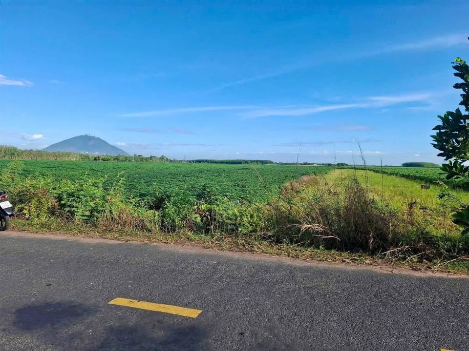 Đất Lộ Kiểm Dương Minh Châu 1.000m² giá 4xx - Sổ đỏ chính chủ