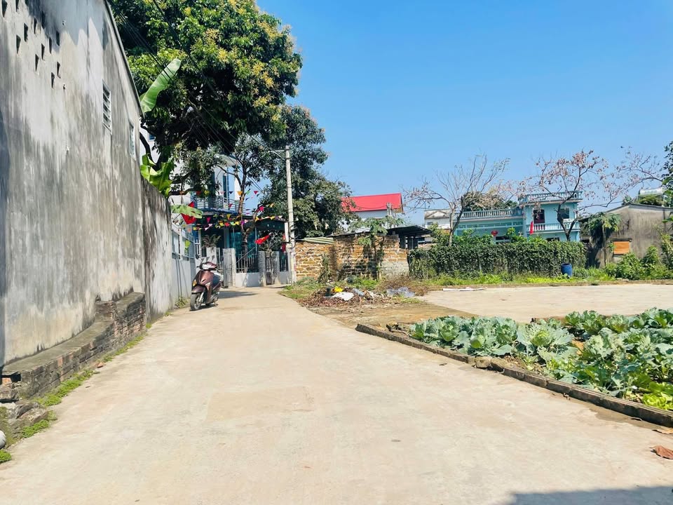 Đất Phú Sơn Ba Vì 82m² 1.2 tỷ - Sổ đỏ chính chủ