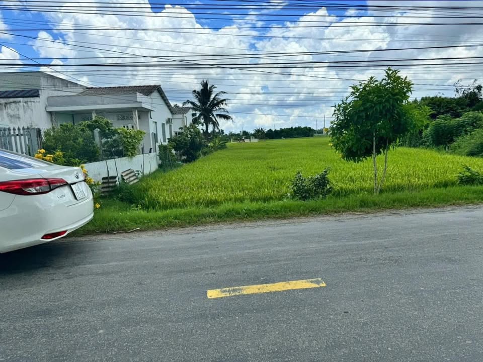 Đất thổ cư DT 833B Tân Trụ 300m² 2.2 tỷ - Sổ đỏ chính chủ