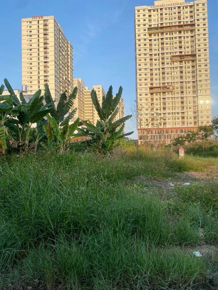 Đất nền Quận 7 Phú Mỹ 113.5m² 13 tỷ - Sổ đỏ chính chủ