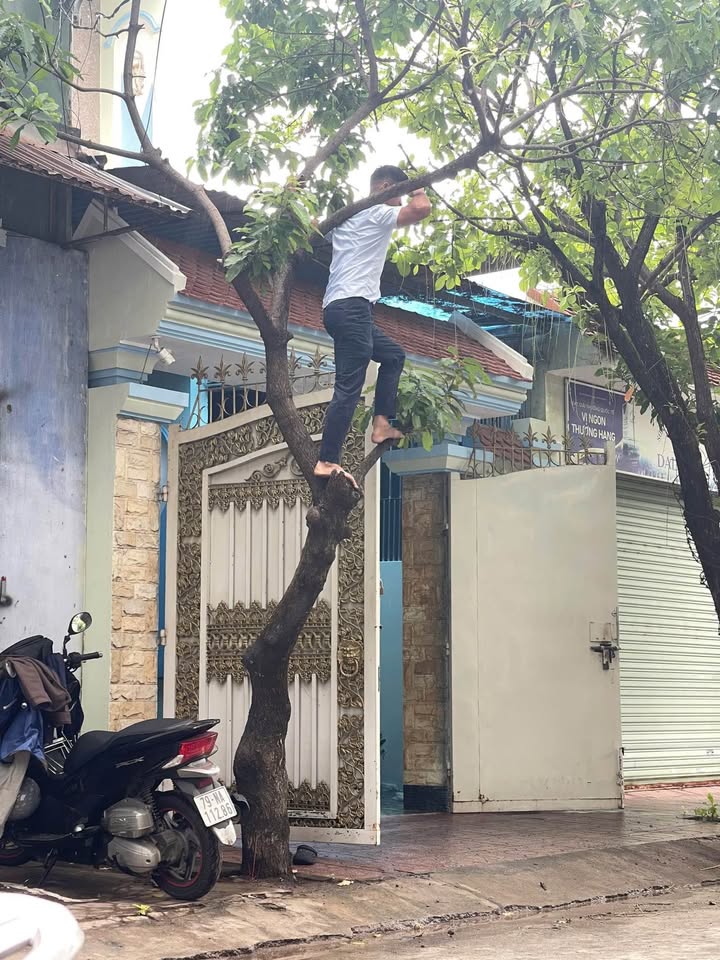 Nhà riêng Vĩnh Hải Nha Trang 109m² 7.1 tỷ - Sẵn sàng ở ngay