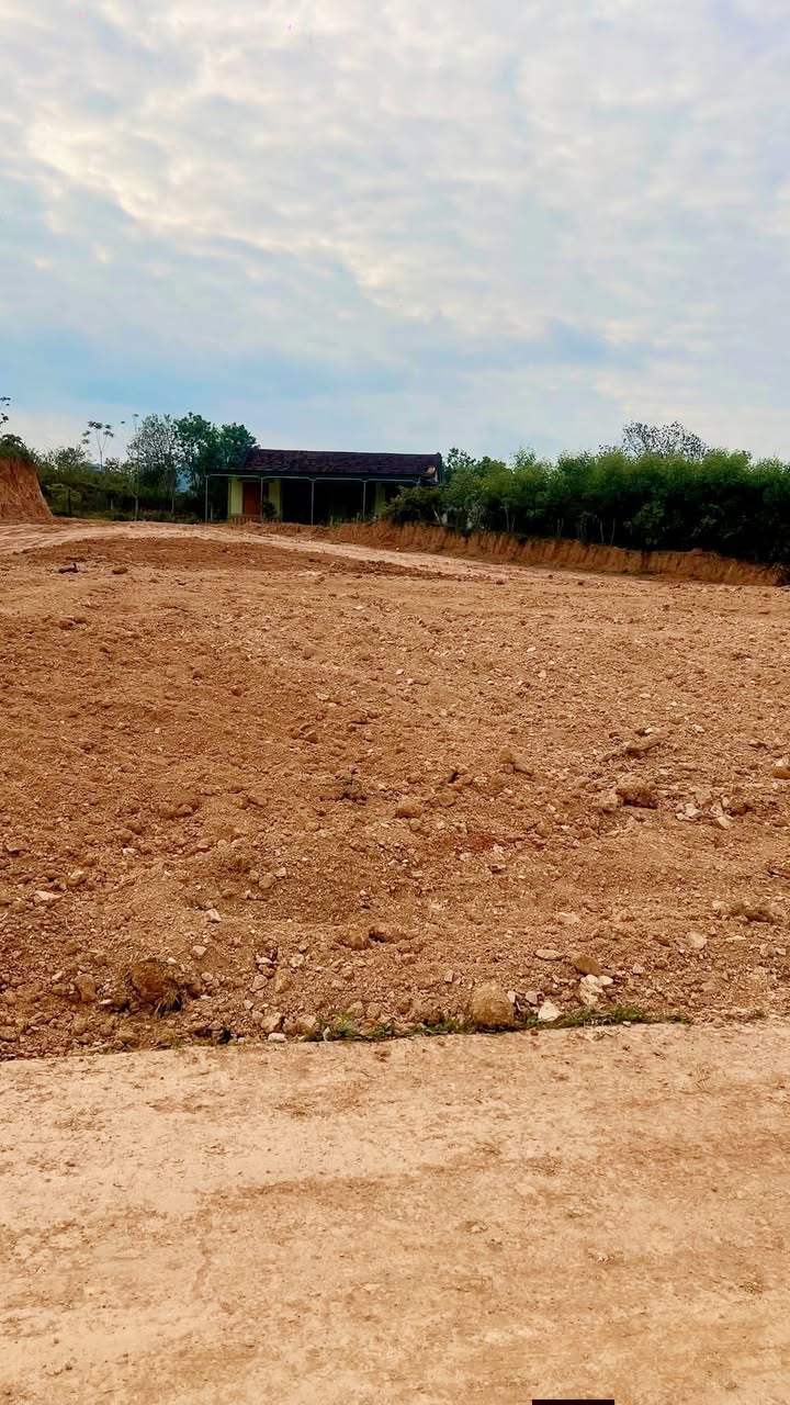 Đất nền Nghệ An QL15B 500m² – Đất thổ cư 100%