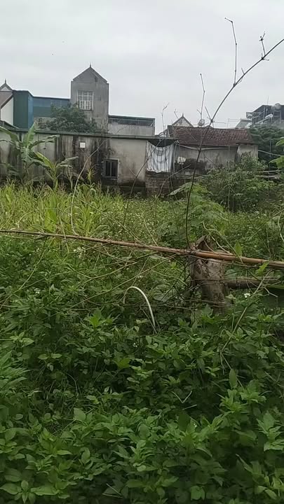 Đất nền Thị trấn Tân Kỳ 90m² 1.2 tỷ - Sổ đỏ chính chủ