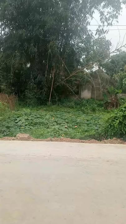 Đất Xóm Tiền Phong Tân Kỳ 990m² - Sổ đỏ chính chủ