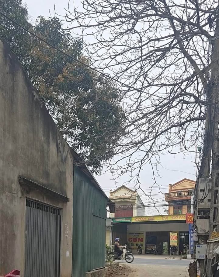 Đất Quốc lộ 2 Tuyên Quang 107m² 1 tỷ - Sổ đỏ chính chủ