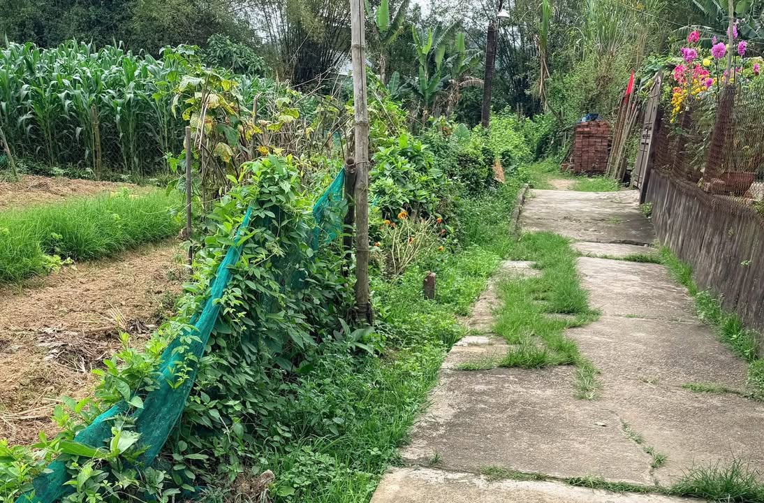 Đất nền Duy Trung Duy Xuyên 125m² thỏa thuận - Sổ đỏ chính chủ