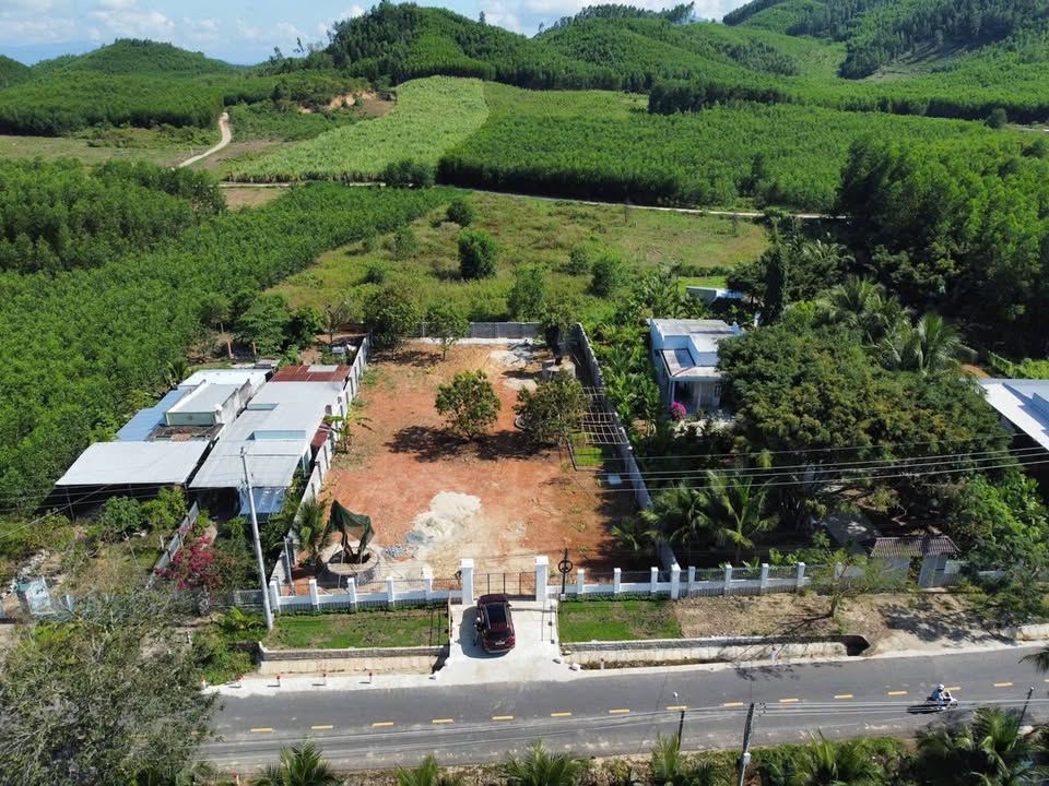 Farmstay Diên Tân 1.243m² 6.5 tỷ - Sổ đỏ chính chủ