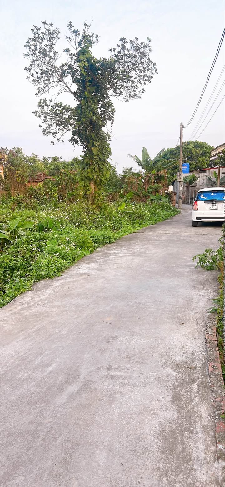 Đất Xã Hồng Dũng 107m² 900 triệu - Tiềm năng tăng giá