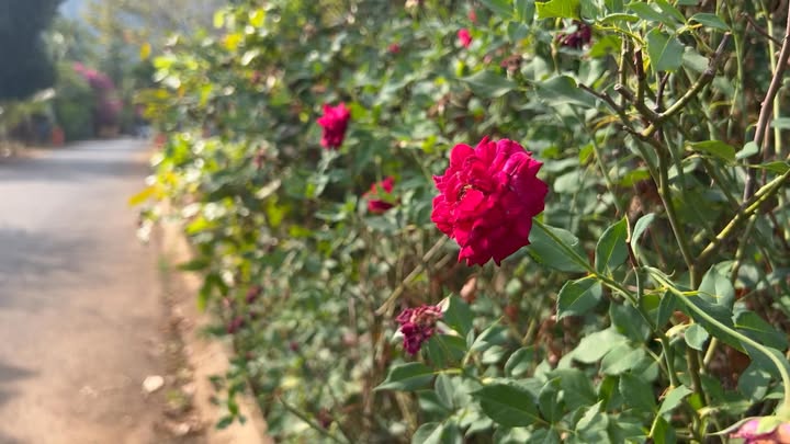 Đất nền Gia Ray Xuân Lộc 180m² 2 tỷ - Sổ đỏ chính chủ