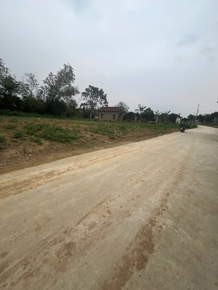 Đất Hợp Tiến Triệu Sơn 115m² 2xx triệu - Sổ đỏ chính chủ