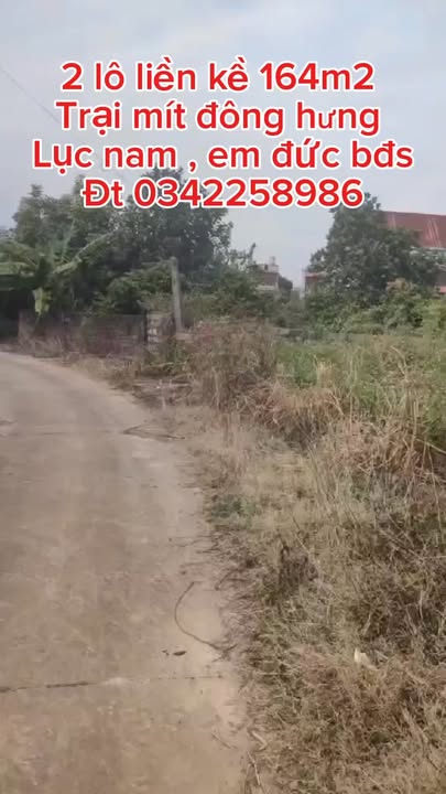 Đất nền Đông Hưng 164m² thỏa thuận - Đường ô tô vào