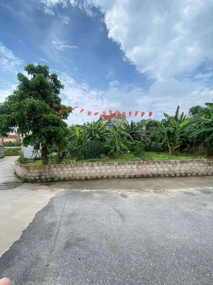 Đất nền Trần Hưng Đạo Hải Phòng 418m² - Sổ đỏ chính chủ