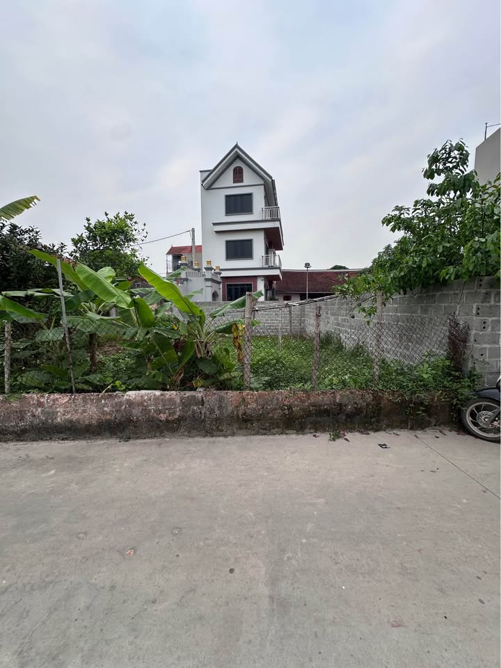 Đất Hướng Dương Quất Động 80m² 5x triệu - Sổ đỏ full thổ cư