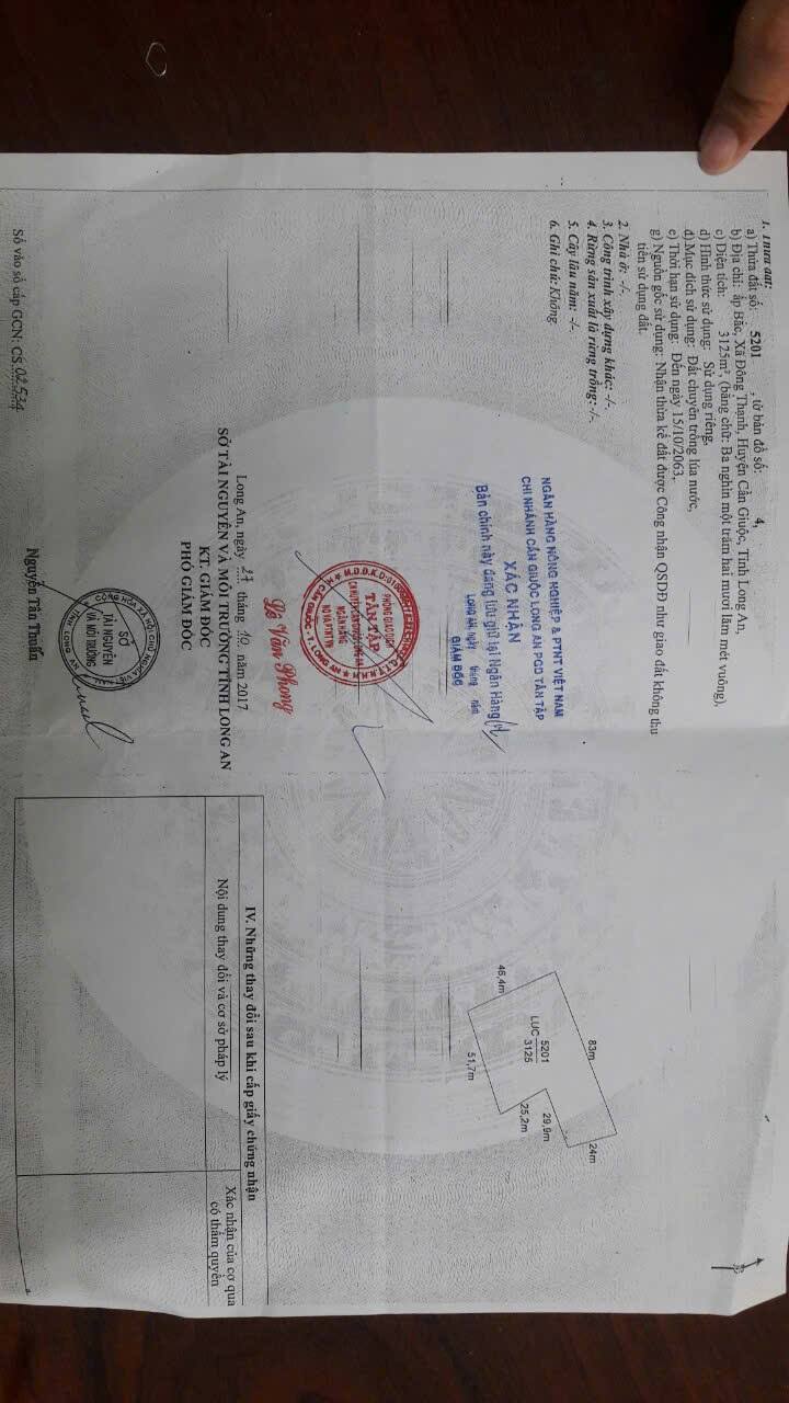 Đất 3125m² Đông Thạnh Cần Giuộc - Tiềm năng