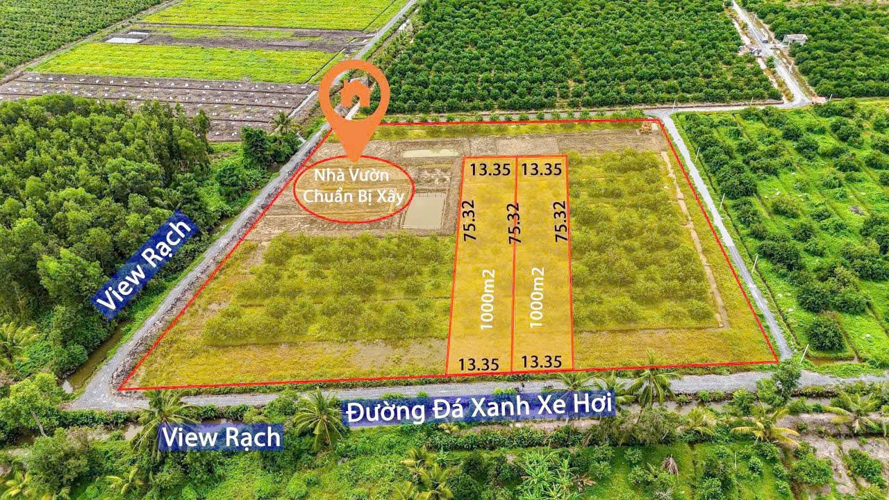 Đất nền Bến Lức 1.000m² 649 triệu - Sổ đỏ chính chủ