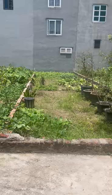 Đất Quang Minh Mê Linh 60m² giá 5x triệu - Sổ đỏ chính chủ đón đầu hạ tầng